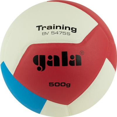 Мяч вол. "GALA Training Heavy 12 " арт. BV5475S, р.5, вес 500 г,синт.кожа.ПУ,клееный,бут.кам,бел-син