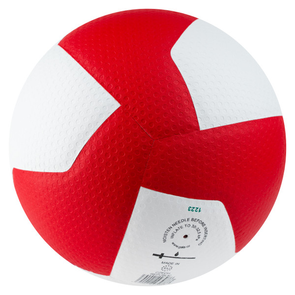 Мяч волейбольный GALA Pro-Line 12, FIVB, профессиональный, размер 5