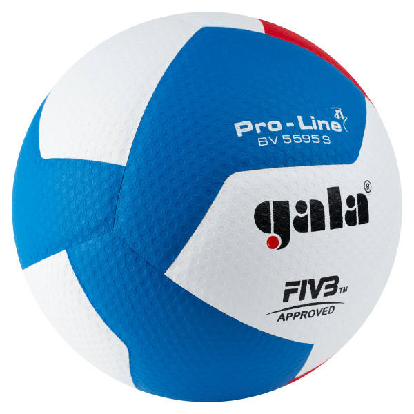 Мяч волейбольный GALA Pro-Line 12, FIVB, профессиональный, размер 5